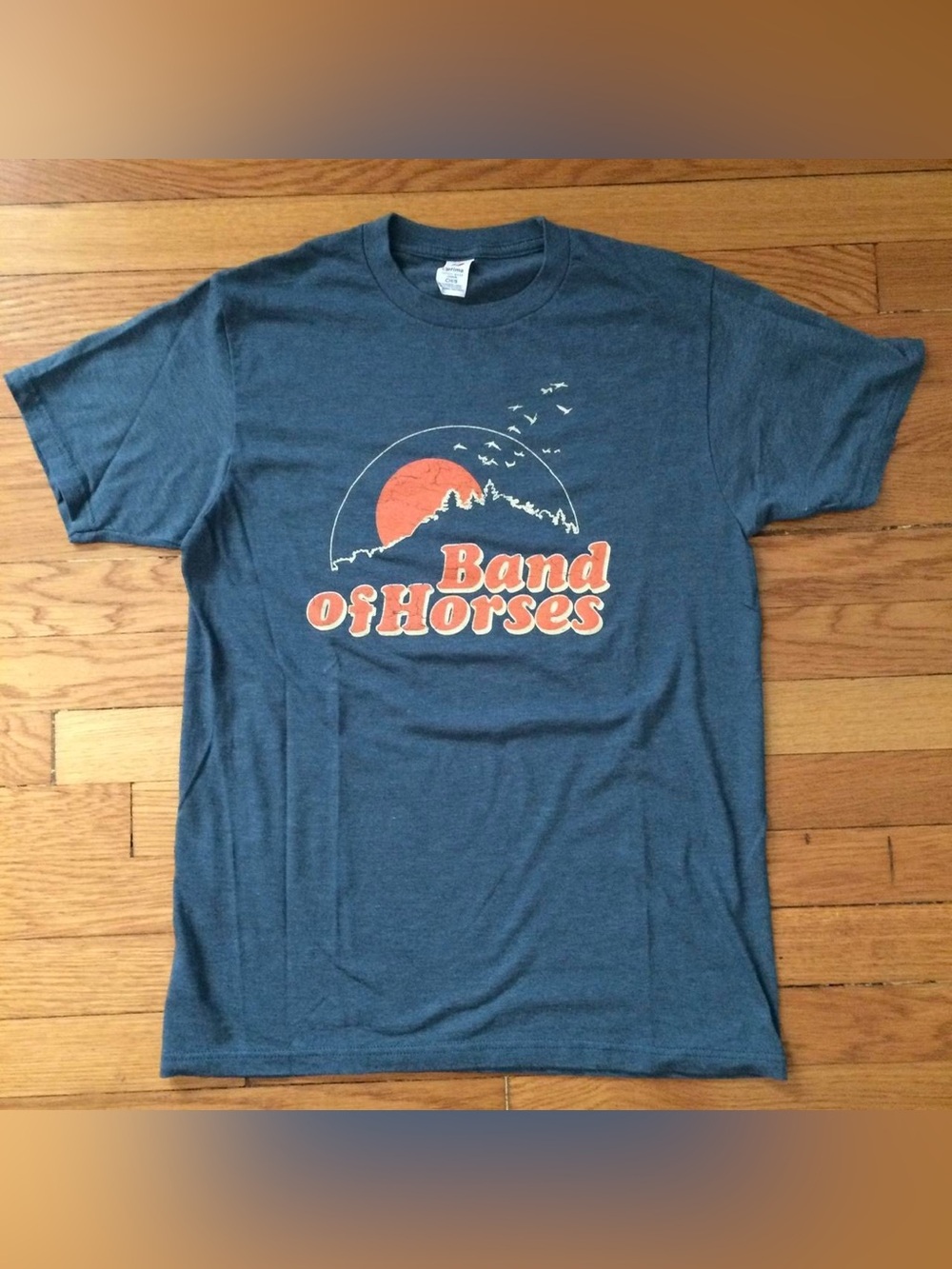 Band of Horses Graphic Tee - Blue with Orange Print